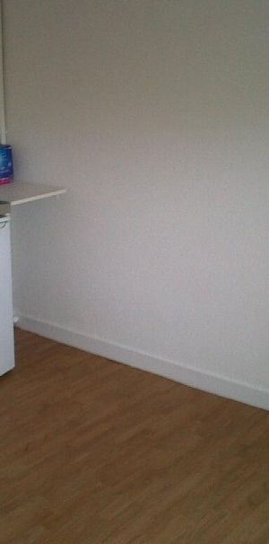 Location Appartement 1 pièce 16m² ANGERS 49100 - Photo 1