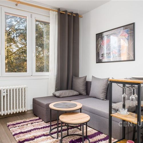 Pronájem modernizovaného bytu 1+kk – Severní Terasa, ul. Větrná - Photo 1