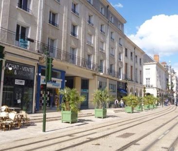 Appartement à louer, 2 pièces - Orléans 45000 - Photo 4