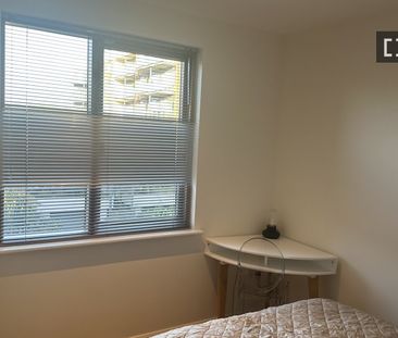 Room for rent in Ballybough, Dublin. - Photo 6