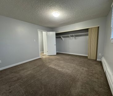 RENOVATED 1-Bedroom Apartment - SMALL PET FRIENDLY! - Photo 5