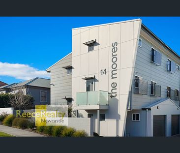 14 Moore Street, Birmingham Gardens, NSW 2287 - Photo 6