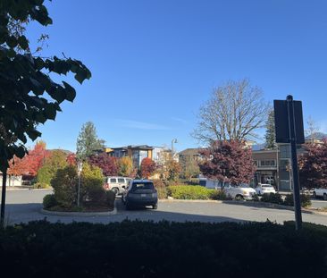 MARKET WAY APTS - 101 - MW101 - Photo 1