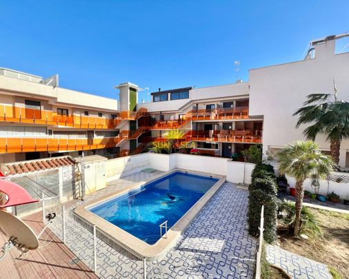 APARTMENT FOR RENT NEAR THE SEA IN TORREVIEJA - ALICANTE - Photo 1