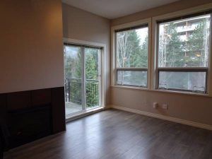 $1950 / 2br – 854ft2 – Top Floor 2 bedroom 2 full bath condo in South Slope Community (NOW) (Burnaby) - Photo 1