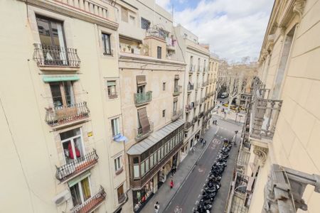 Carrer Nou de la Rambla, Barcelona, Catalonia 8001 - Photo 4