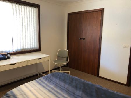 Australind - Photo 5