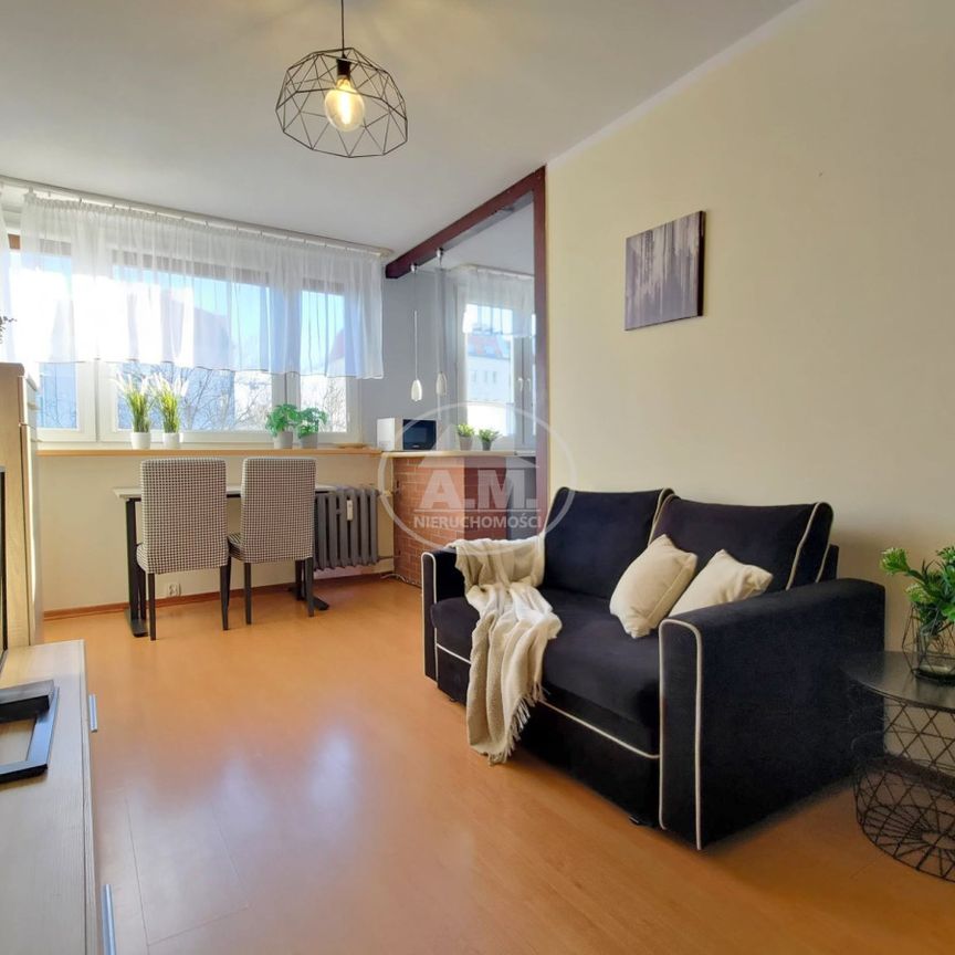 MIESZKANIE PRZYJAZNE KOTOM, 2 POKOJE, BALKON - Zdjęcie 1