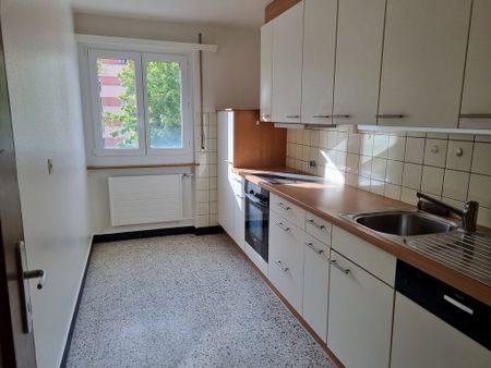 3 Zimmer, EG - Photo 5