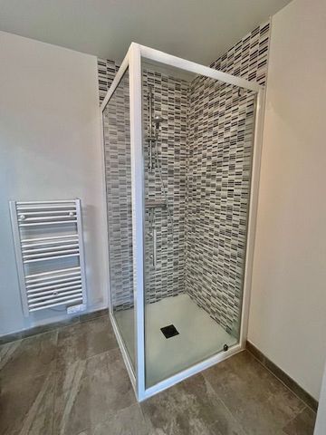 Location Appartement 1 pièce 21m² ROSIERES PRES TROYES 10430 - Photo 5