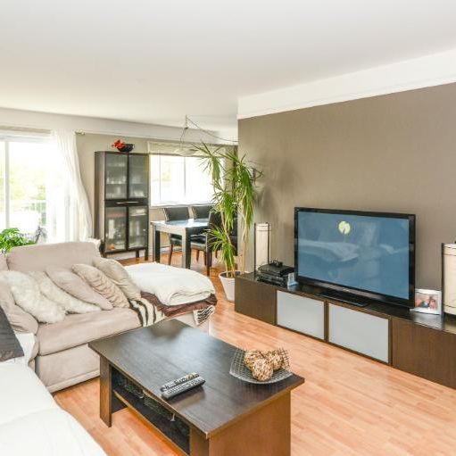 Appartement 4 ½ à louer Limoilou octobre 2025 - Photo 1