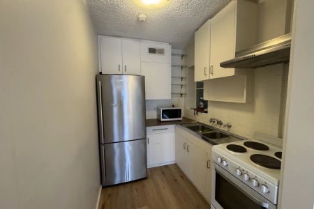 Spring Street Gem - Photo 4