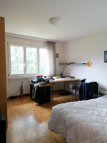 Ruhige Wohnung im Grünen! - Foto 5