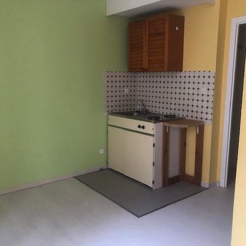 Location Appartement 1 pièce 15m² GRENOBLE 38000 - Photo 1