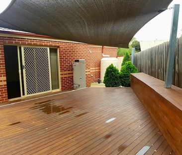 Hot To Trot! - Photo 2