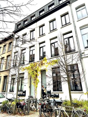 Ruim en licht appartement met luxueuze afwerking - Foto 1