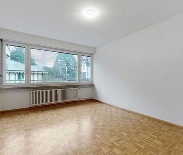 Are you looking for a temporary solution? - Photo 5