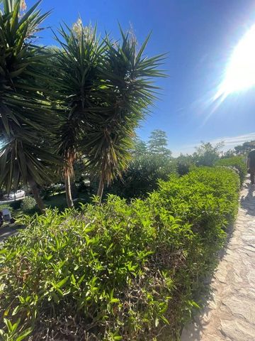 4 room luxury House for rent in La Condomina, Valencia - Photo 4