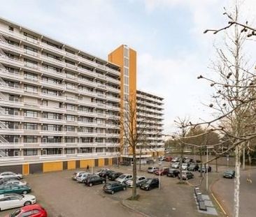 De Koppele 0ong, 5632 Eindhoven, Nederland - Foto 1