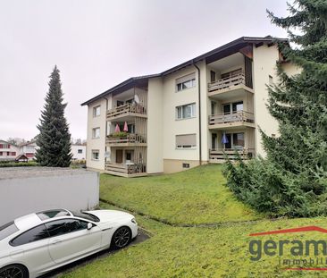 Appartement 2.5 pièces au rez-de-chaussée - Photo 3