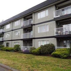 2 Bedroom Suite Available April 15th - Photo 3