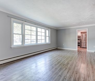 For Lease - 302 Maple Avenue Unit# Main floor, Oakville, Ontario - Photo 2
