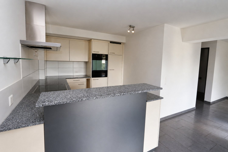 5.5-Zimmer-Einfamilienhaus mit Lift und grosser Terrasse - Photo 3