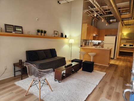 For Lease - 103 McCaul Street Unit# 47, Toronto, Ontario - Photo 4