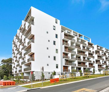 BA205/6-18 University Road, Miranda NSW 2228 - Apartment For Rent |... - Photo 5