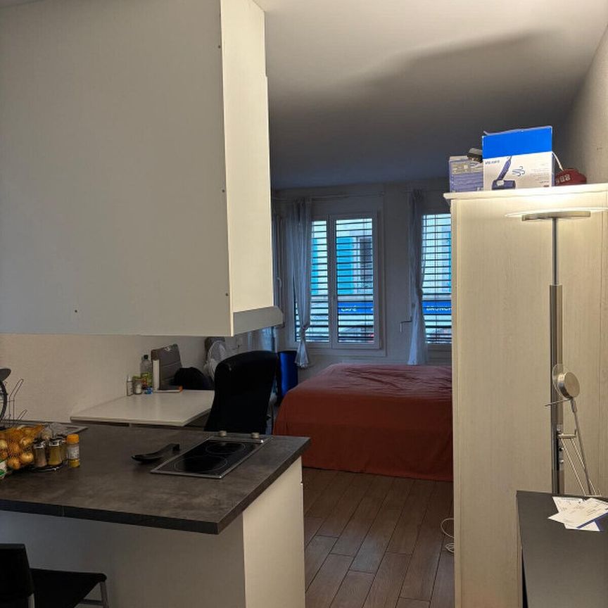 Pleasant furnished studio in the Plainpalais/HUG Hospitals area - Foto 1