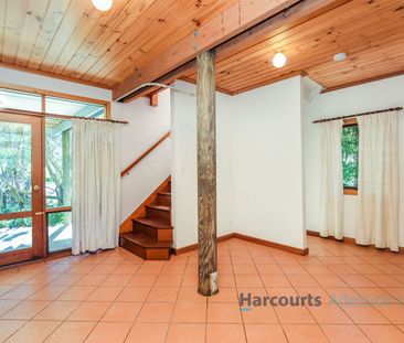 224 Paechtown Road, Paechtown SA 5245 - House For Rent | Domain - Photo 4