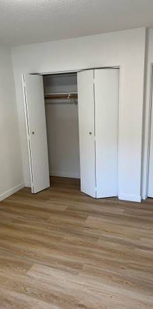 Beautiful Large 2 Bedroom Apartment - Photo 1