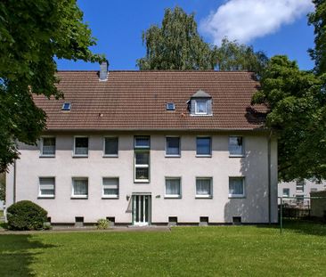 FIx und Fertig ! Laminat und Tapeten inklusive!!!! - Foto 1