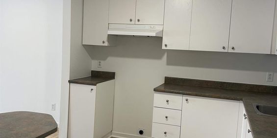 1 CH - 1 SDB - Saint-Charles-Borromée - $1,150 /mo - Photo 3