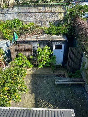 Sunny renovated Aro Valley home - Photo 4