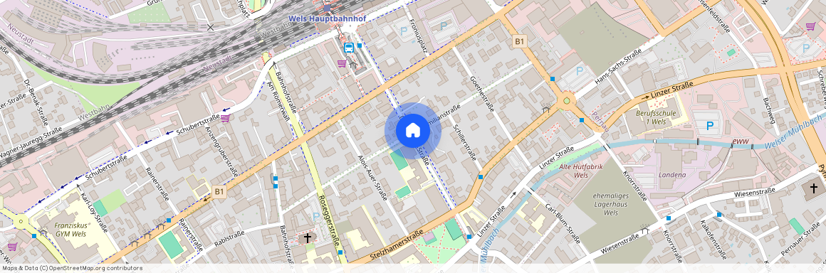 Dr .Schauerstraße, Wels