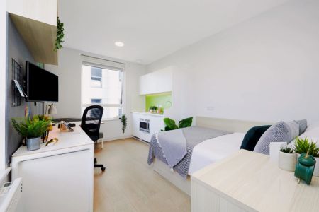 Premium Plus Studio - Photo 5