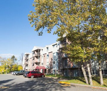 4 1/2 Vanier -ascenseur- proche des commodités- 1er décembre - Photo 4