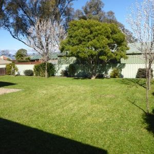 Home For Rent - Photo 2