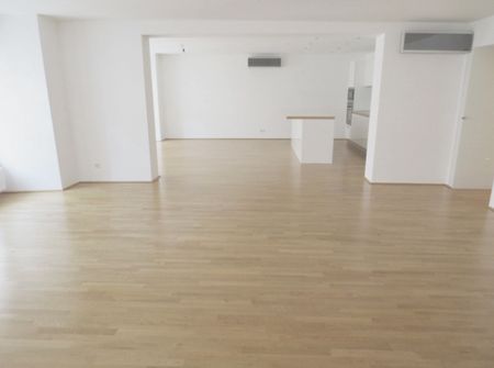 Luxuriöse Altbauwohnung mitten in der City - 1010 Wien zu mieten - Photo 3
