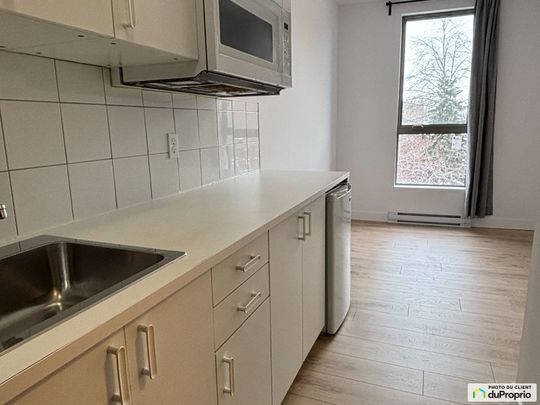 1024, rue Sherbrooke, Le Plateau-Mont-Royal à louer - Photo 1