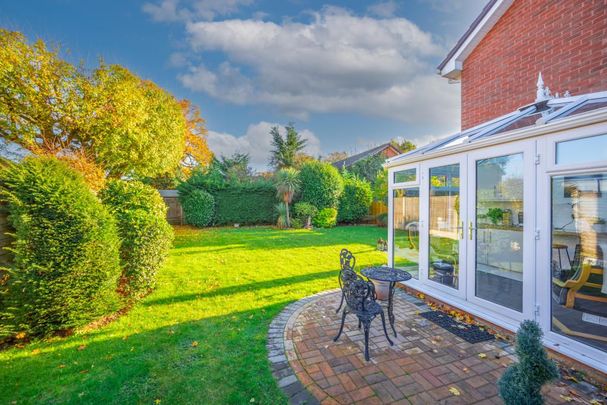 3 bedroom house to rent - Photo 1