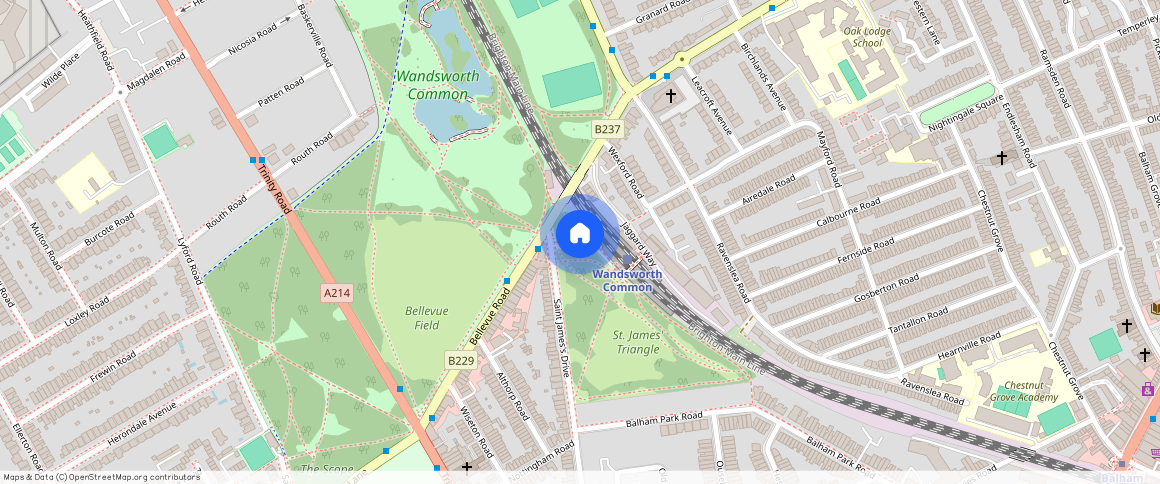 Trinity Road, Wandsworth Common SW17