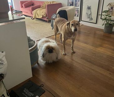 Caulfield North - Photo 6