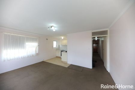 U/430 Maroubra Road, Maroubra, NSW 2035 - Photo 5