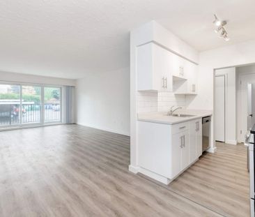 1 Bedroom - Photo 4