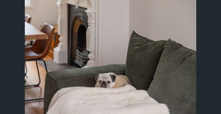 Historic laneway terrace with DA-approved plans - Photo 4