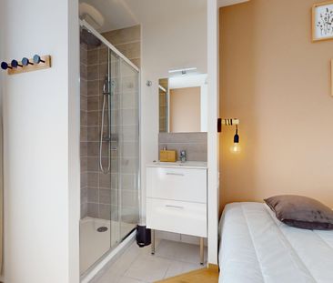 ALBERT 1ER BELGIQUE Colocation 3 chambres à Grenoble - Photo 6