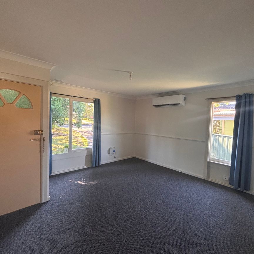 Sensational Space on Sampson - Photo 1