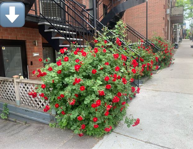 À louer / Appartement - Photo 1